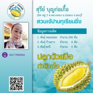 durian_008