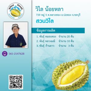 durian_009